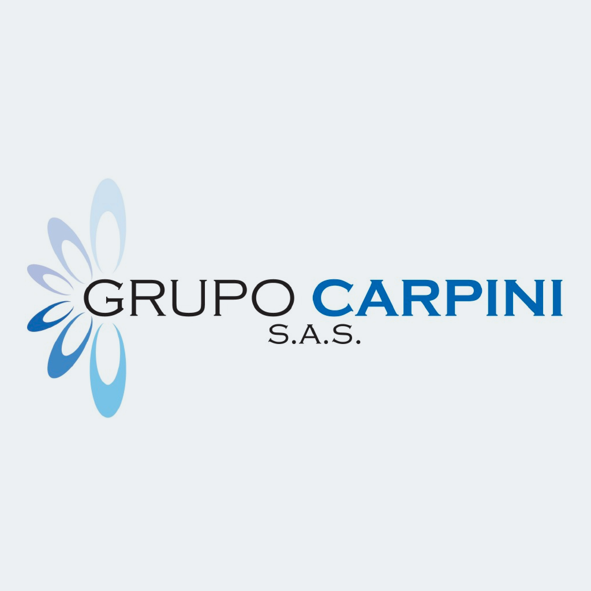 Logotipo viejo de Carpini